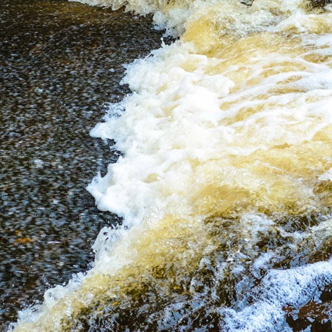 Close-up of a flowing stream with foamy white water cascading over dark, textured rocks.