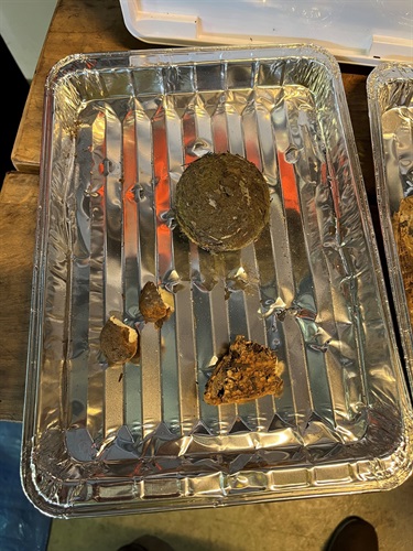 An aluminum tray contains a round, earthy-colored object and several smaller fragments, possibly organic material, on a wooden surface with warm lighting.