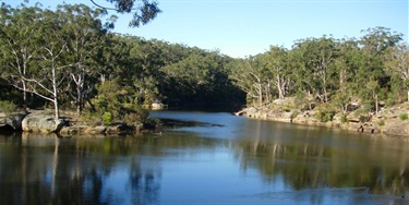 A tranquil river winds through a lush forest under a clear blue sky. Dense trees line the rocky banks, reflecting serene calmness in the water.