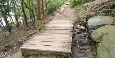 A narrow dirt trail with a wooden bridge crosses a small creek in a lush forest. The path is surrounded by dense trees and green foliage, conveying tranquility.