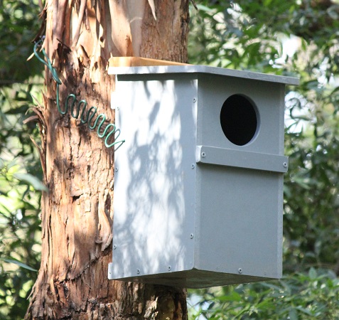 Artificial hollow attached to a tree.jpg
