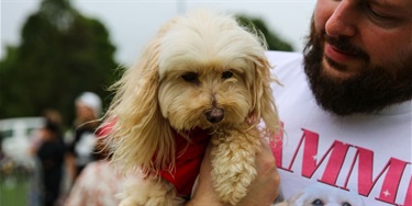 Man holding a small, fluffy dog wearing a red shirt. The bearded man gazes warmly at the dog. Blurred green background suggests an outdoor setting.