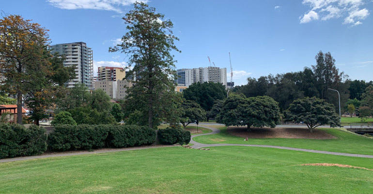 Grass field with trees at back