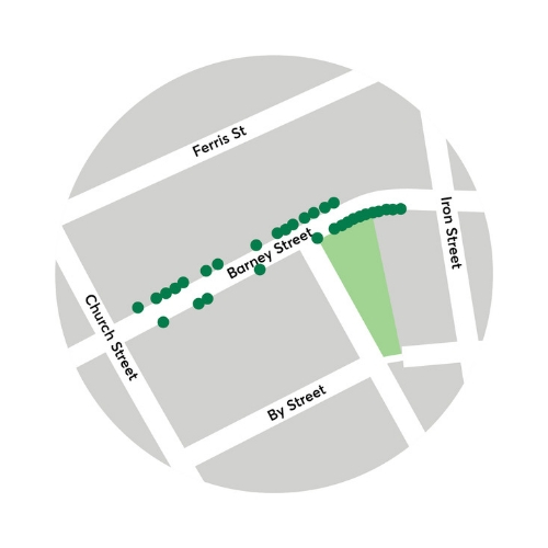 Parramatta Light Rail tree planting on Barney Street