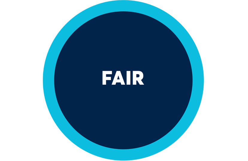 Icon of the community value Fair