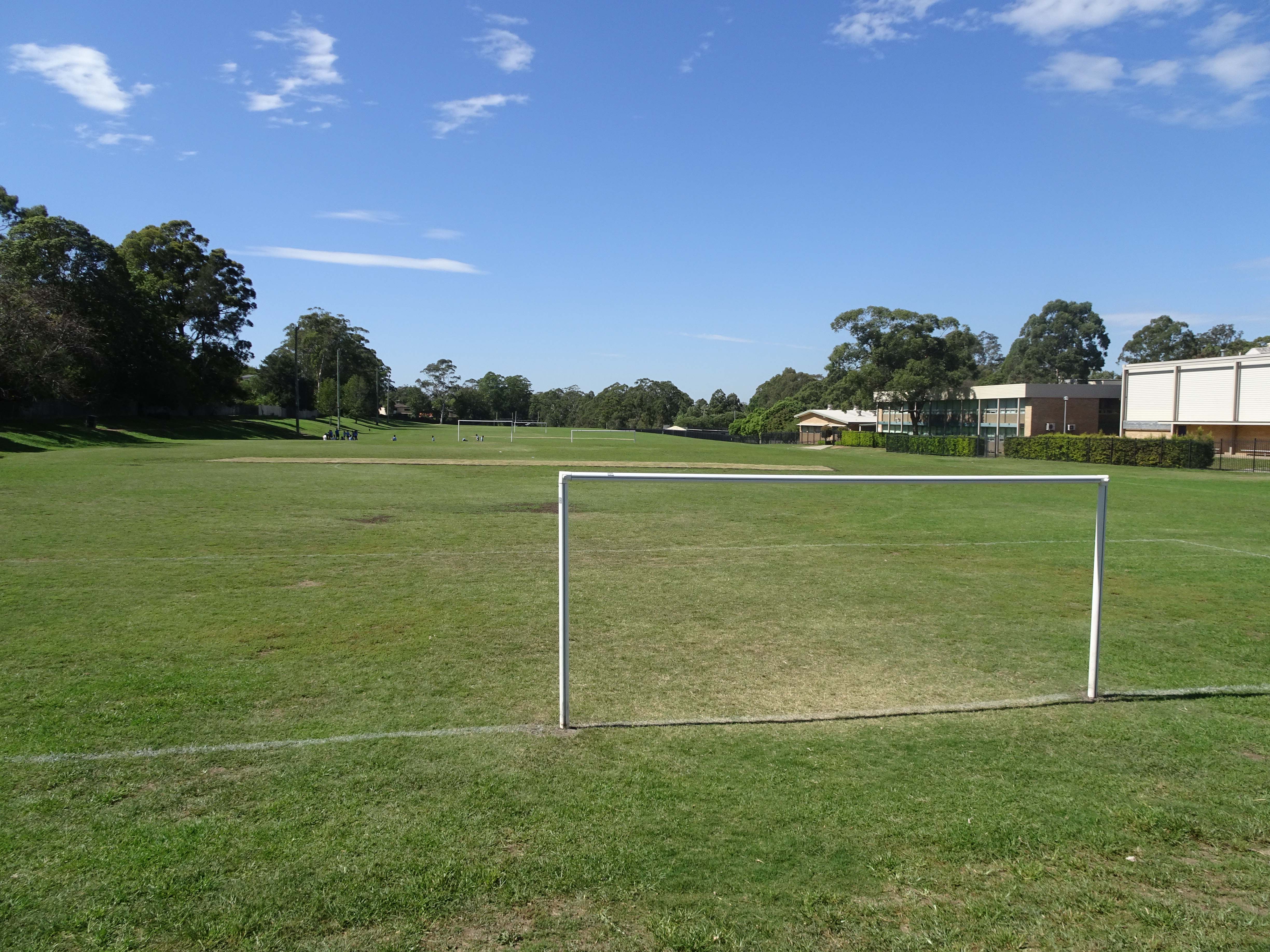 Carlingford High School Oval sports ground