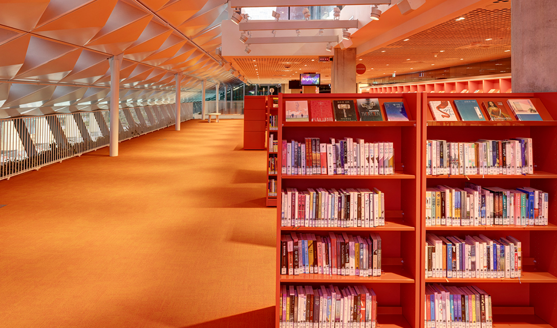 Library Shelves