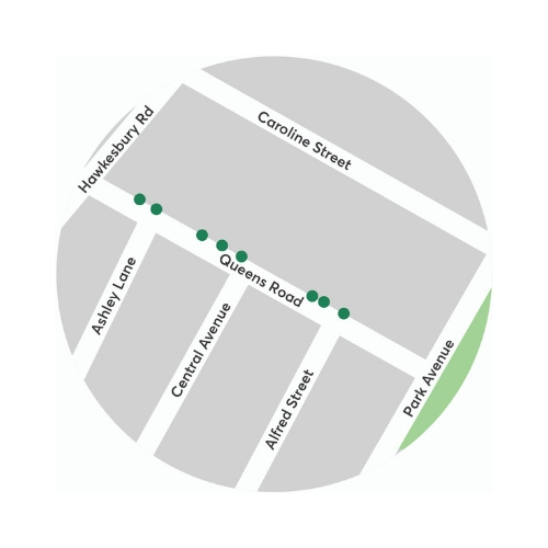 Parramatta Light Rail tree planting on Queens Road