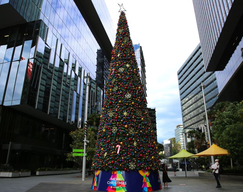 Christmas tree in Parramatta Square