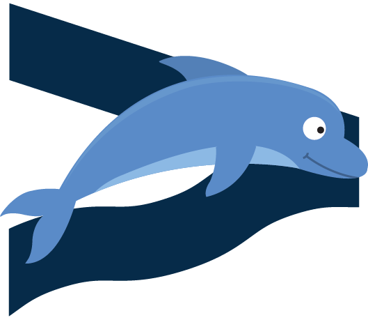 Dolphins Icon