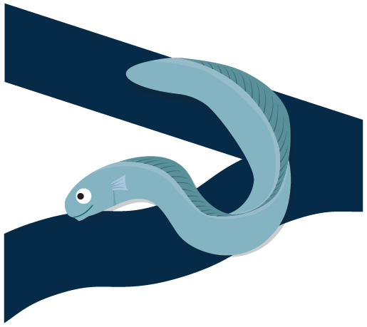 Eels Icon