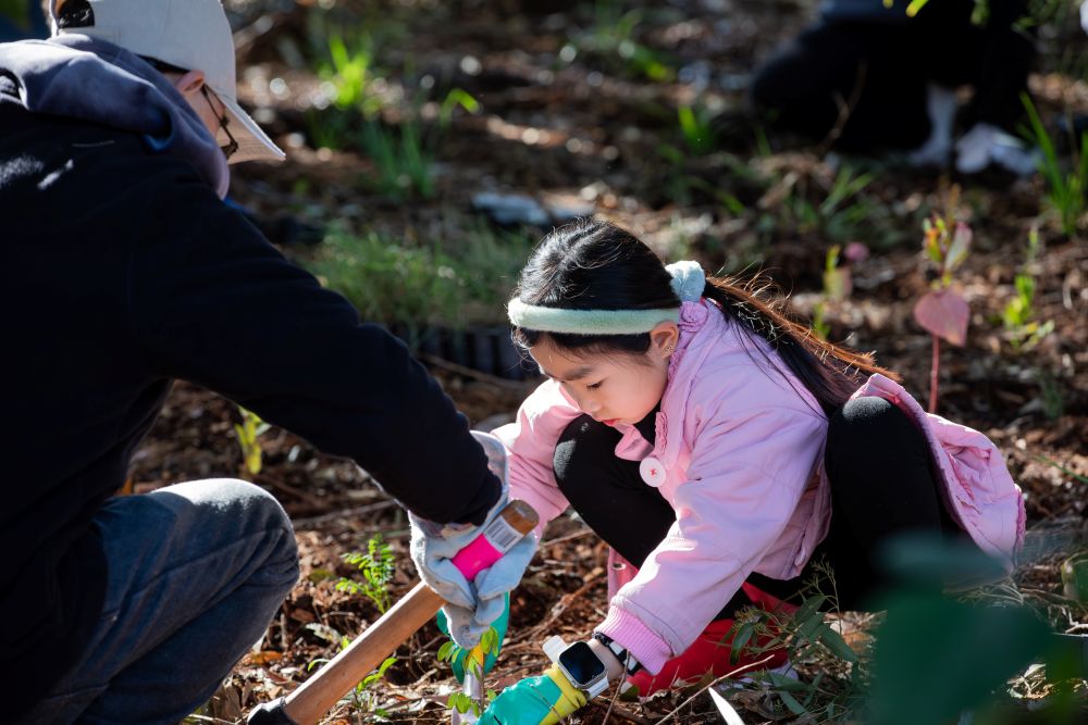 Dad helping daughter to plant tree