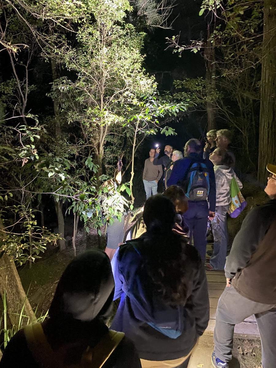 People walking along the nocturnal safari