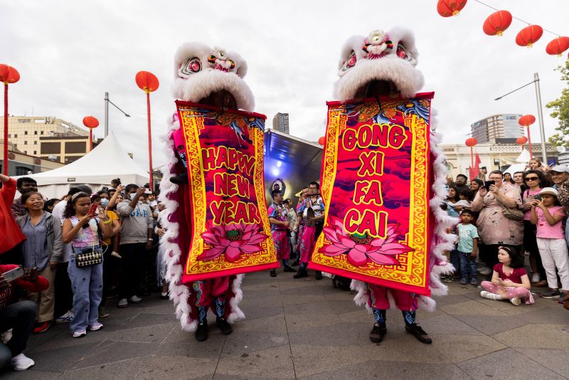 Lunar New Year dragons