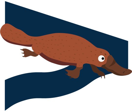 Platypus Icon