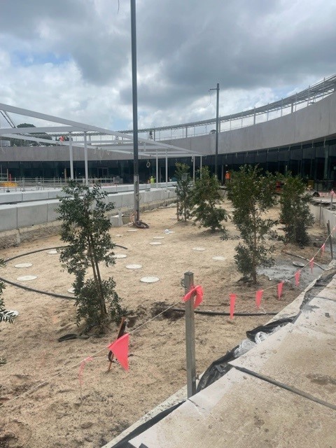 Rain garden under construction