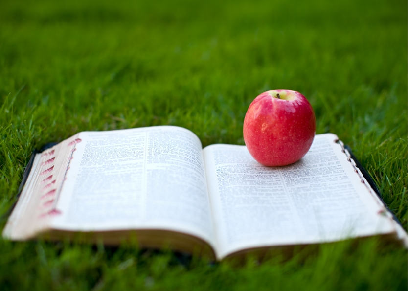 Open book on grass with apple on top