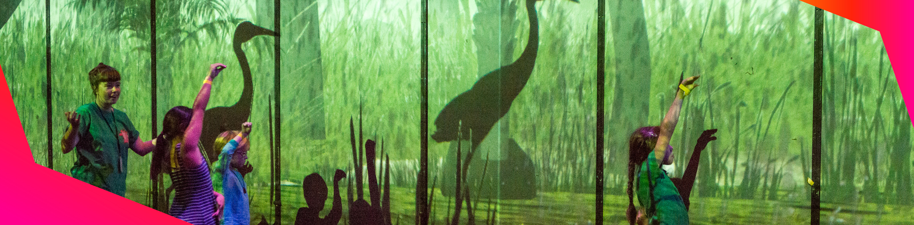 PHIVE Creature PlaySpace