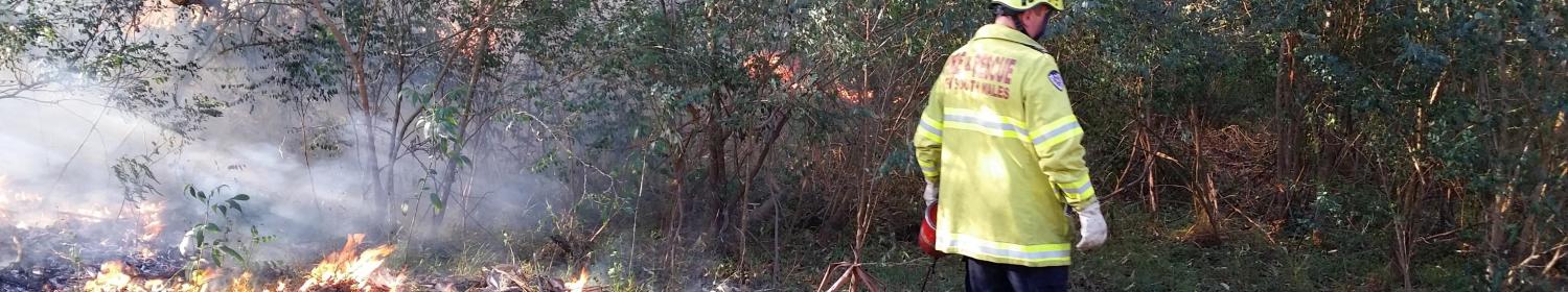 Fireman doing fire reduction 