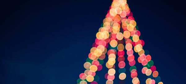 Christmas tree in lights