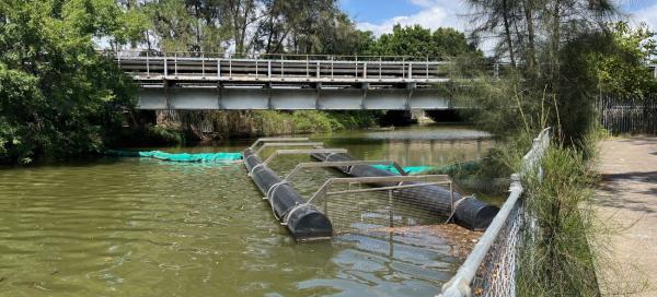 Haslams creek catchment area