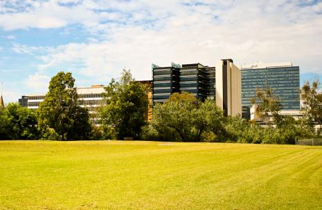 View of the Parramatta Skyline with a park in front