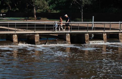 Parramatta Weir with trees and buildings in background