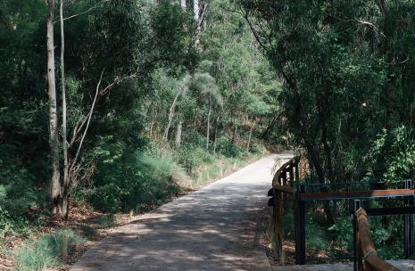 Entrance way for bushwalking track