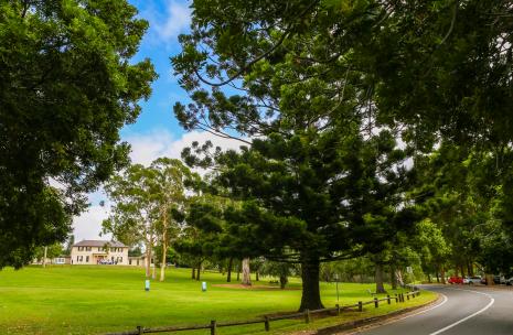 Old Government House and tree lined street